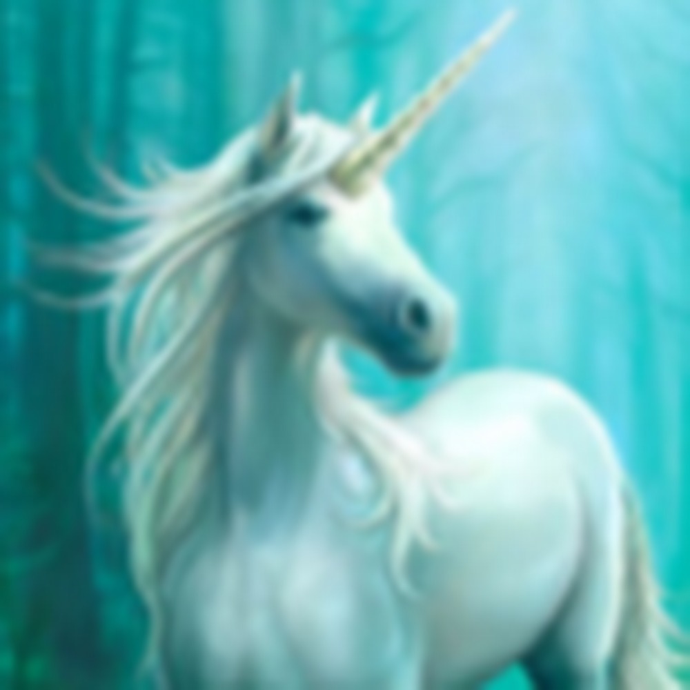 Meet your Posher, Rebecca